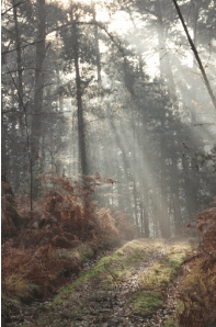 Screen Shot 2016-04-27 at 23.15.36