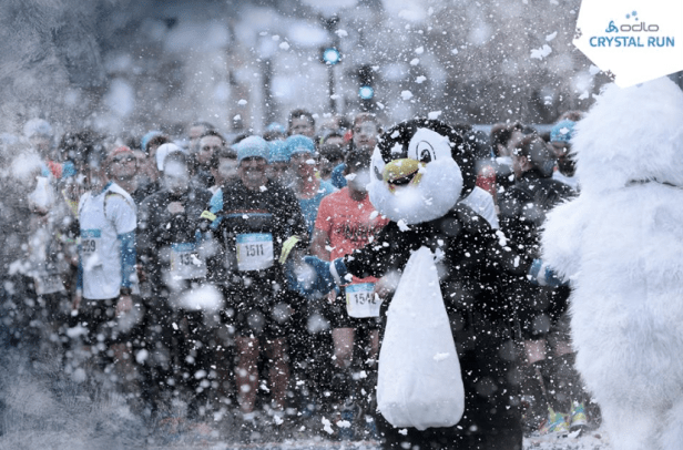 screen-shot-2017-02-16-at-19-05-30