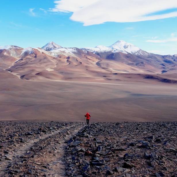 53327475_2087274998058909_5273717951084625920_o